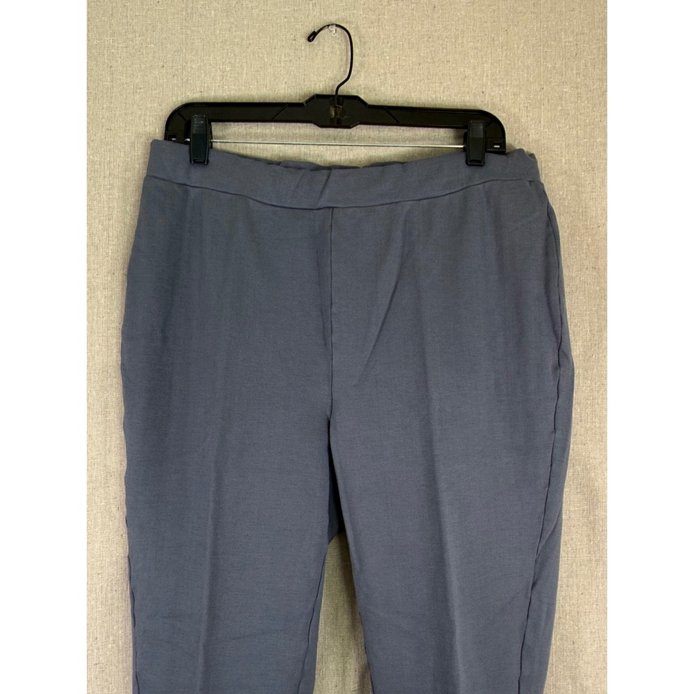 Standard Grace Slate Blue Floral Embroidered Ankle Slim Leg Pull On Pants XL